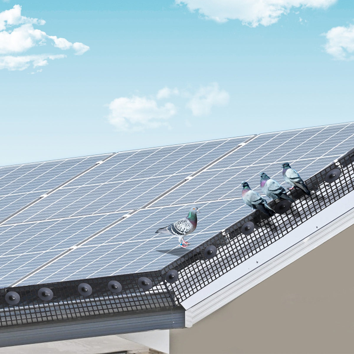6 in x 100ft Solar Panel Bird Guard Critter Guard Roll Kit 60pcs Fasteners V952-TYNDCBBHWTZ6H55GXV0