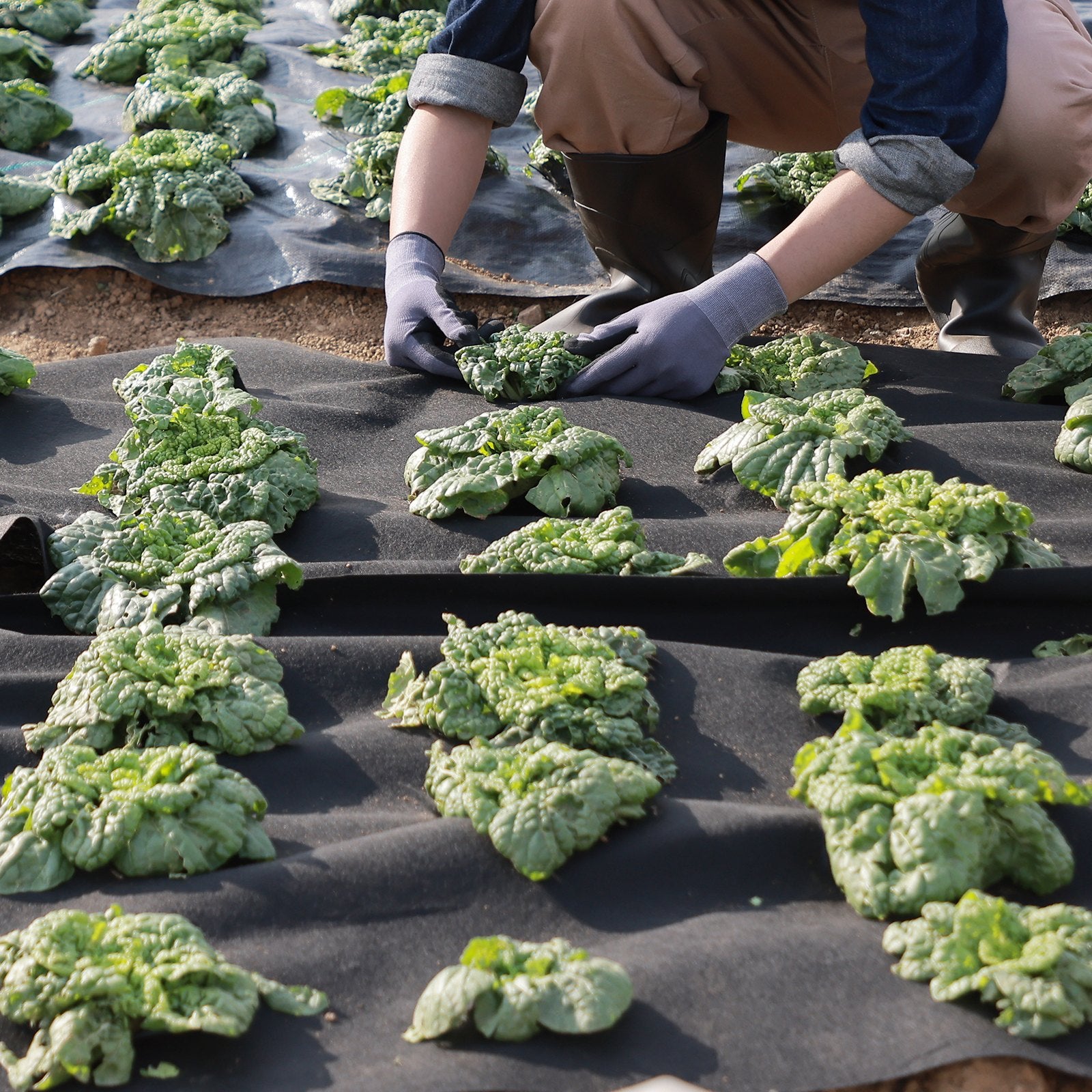 Non-Woven Geotextile Fabric 10x100FT 8OZ Ground Cover Weed Control Fabric, 3.0 x 30.5 m V952-WFB10100FT808Q6FRV0