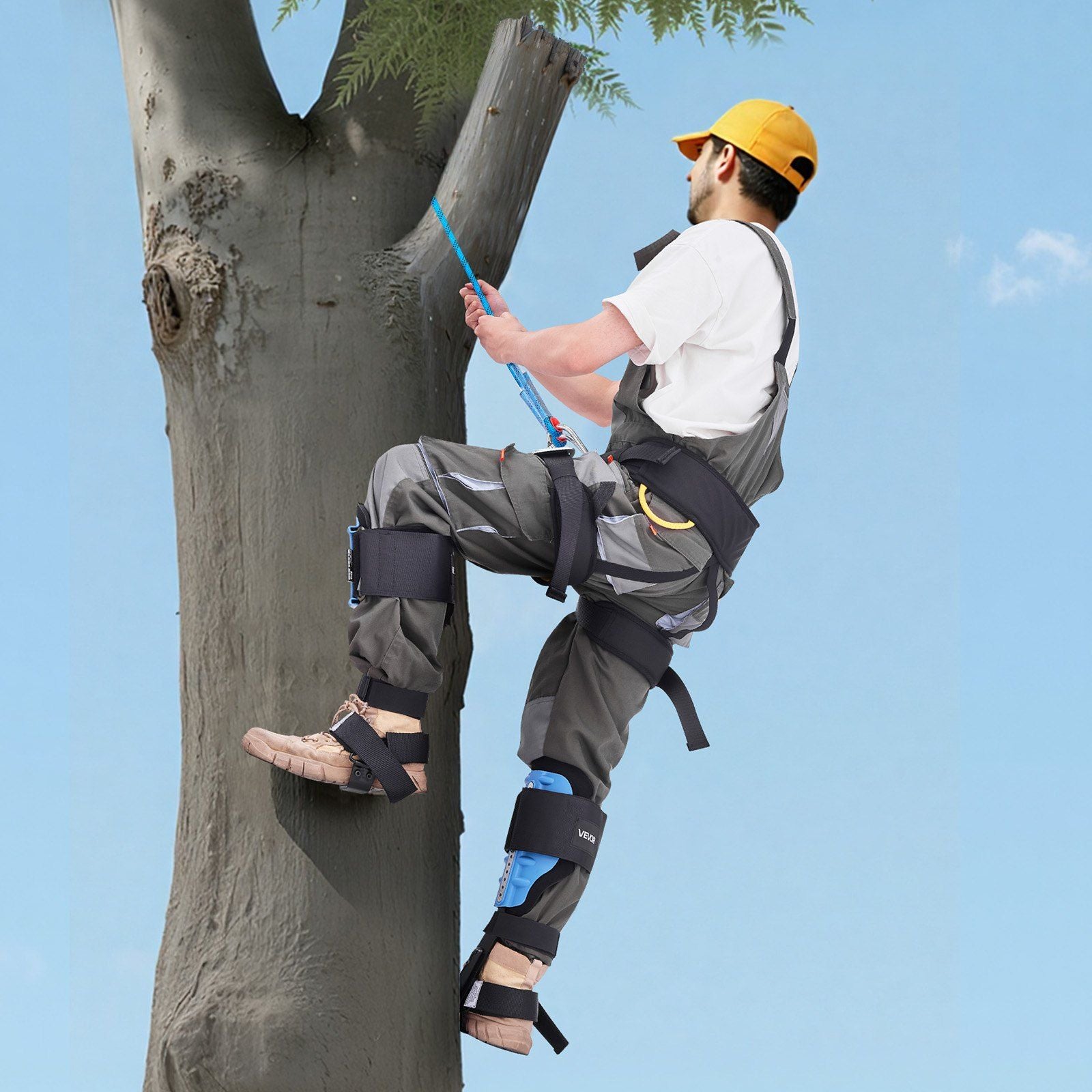 Tree Climbing Spikes, Height-Adjustable Tree Climbing Gear with Straps & Padding Cushion, 159 kg Load V952-XPSZZDPKQMFHCUIBM001V0