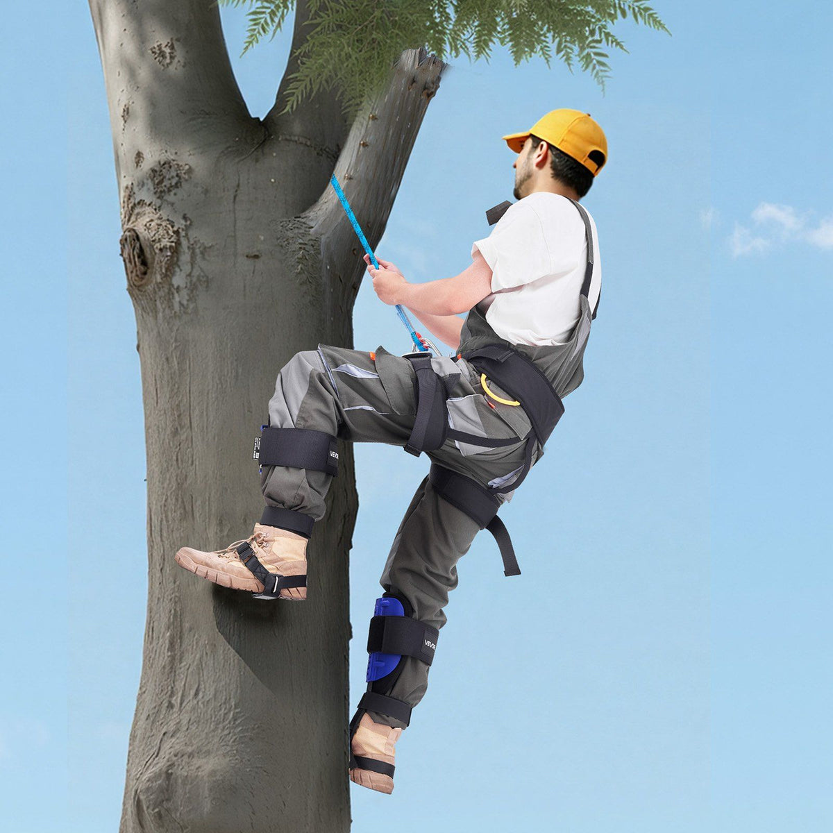 Tree Climbing Spikes Set, Height-Adjustable Tree Climbing Gear with Straps & Harness, 159 kg Load Capacity, V952-XPSZZZHKJCKSOXN33002V0