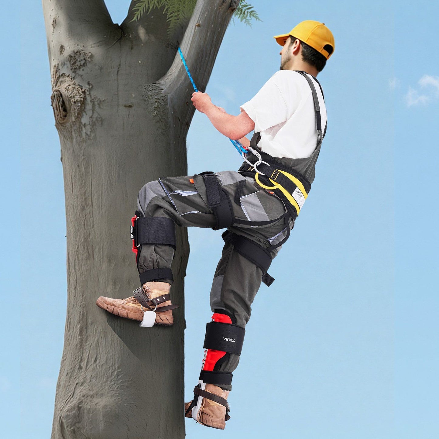 Tree Climbing Spikes Set, Height-Adjustable Tree Climbing Gear with Straps & Spike Protectors, 159 kg Load V952-XPSZZZHKQMFH3M41Q002V0