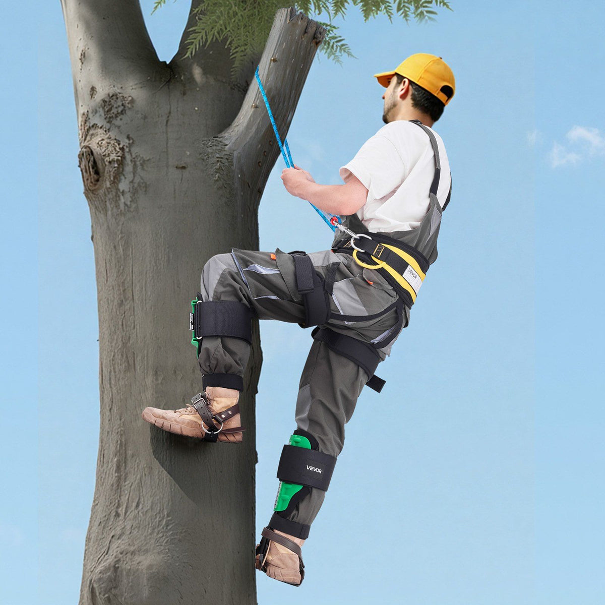 Tree Climbing Spikes Set, Height-Adjustable Tree Climbing Gear with Straps & Spike Protectors, 159 kg Load V952-XPSZZZHKQMFHLDHFU002V0