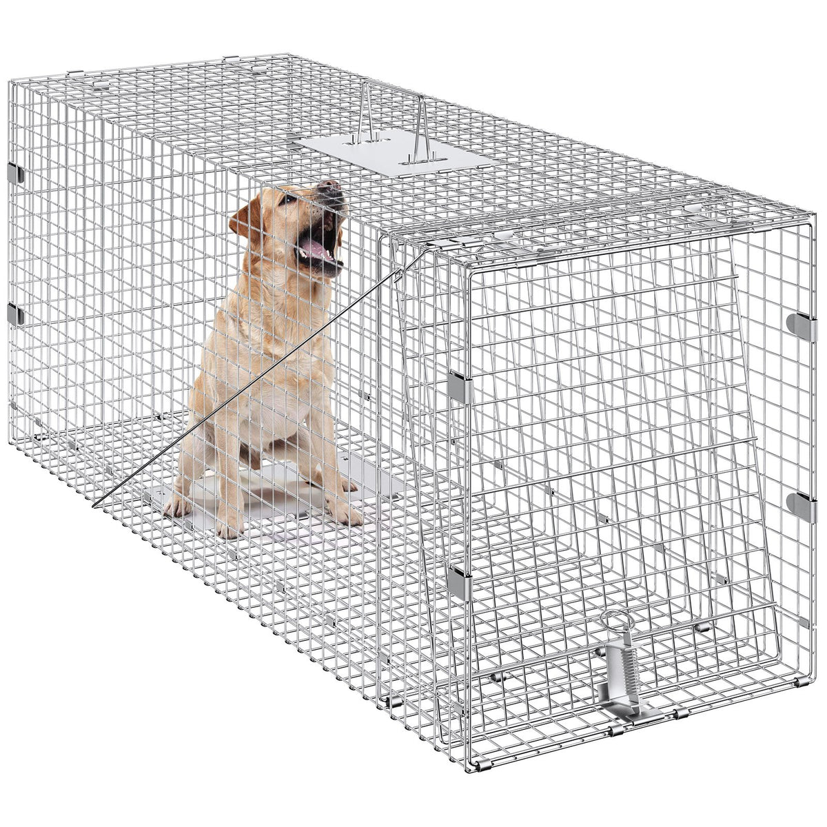 Live Animal Cage Trap, 50" x 20" x 26" Humane Cat Trap Galvanized Iron, Folding Animal Trap with Handle for V952-YBL50YC00000VGIXYV0