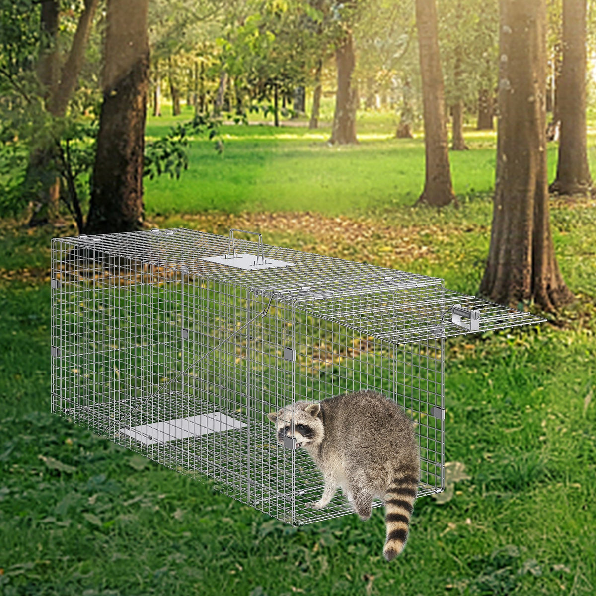 Live Animal Cage Trap, 50" x 20" x 26" Humane Cat Trap Galvanized Iron, Folding Animal Trap with Handle for V952-YBL50YC00000VGIXYV0