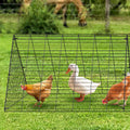 Chicken Tunnels, 300 x 71 x 61.5cm (LxWxH) Chicken Tunnels for Yard, Portable Chicken Tunnels for Outside V952-YJSDZXK00000V3S9IV0