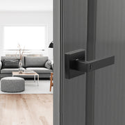 Privacy Door Handle, 10 Pack Matte Black Door Lever, Left or Right Handing Reversible Lever with Keyless V952-YSMJSBSFX10J873ECV0