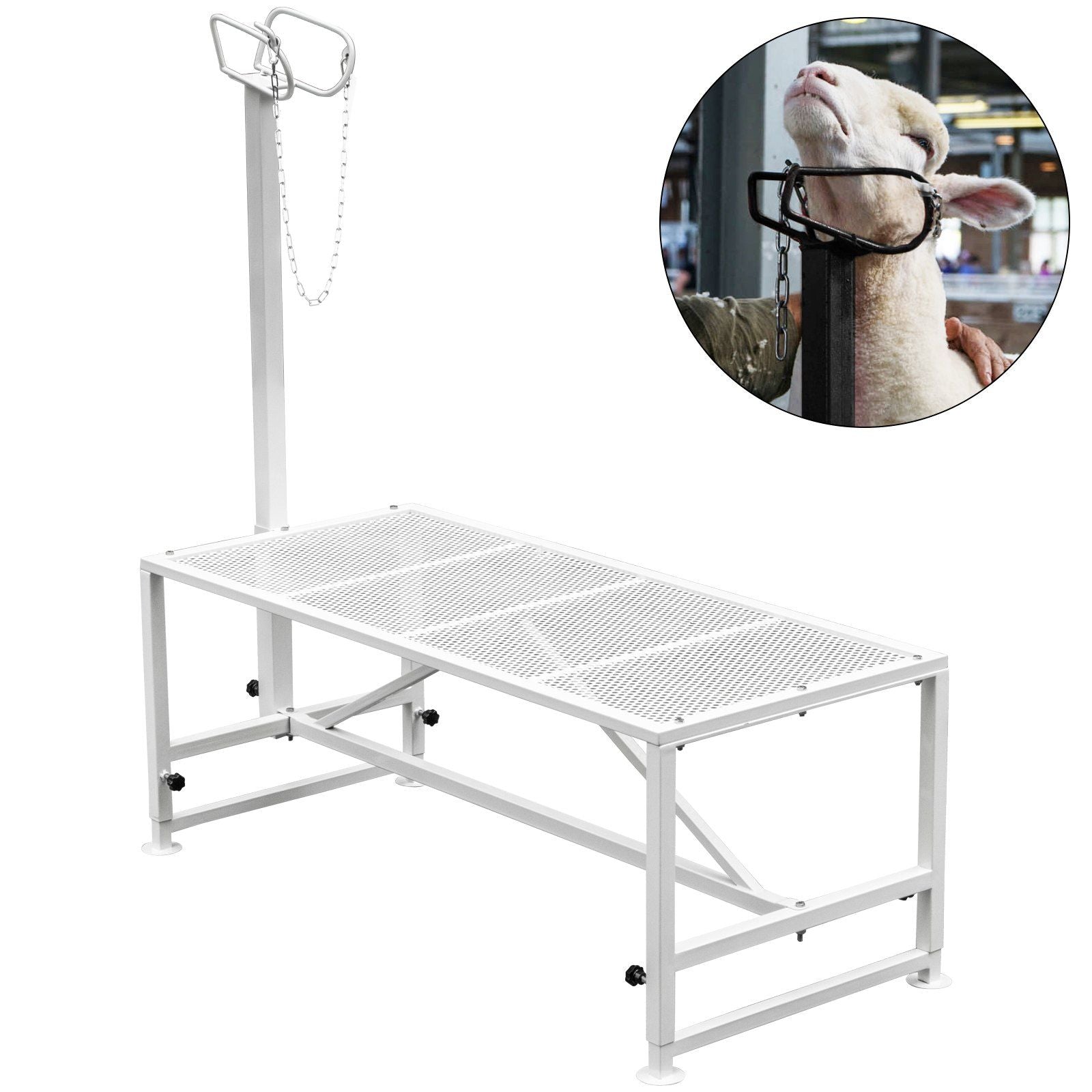 Livestock Stand 51x23 inches, Trimming Stand with Straight Head Piece, Goat Trimming Stand Metal Frame Sheep V952-YYZJJSCDLZBS00001V0