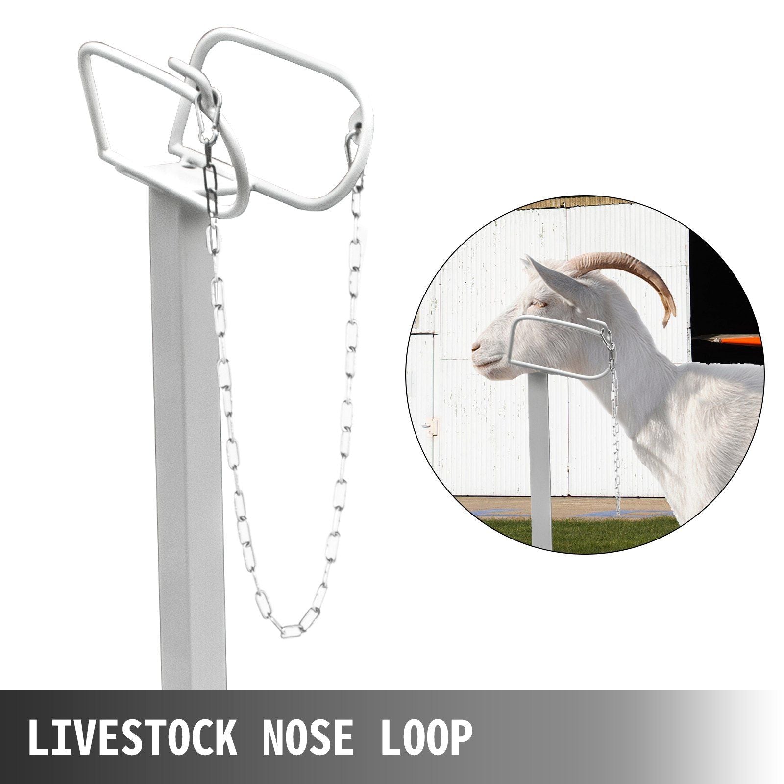 Livestock Stand 51x23 inches, Trimming Stand with Straight Head Piece, Goat Trimming Stand Metal Frame Sheep V952-YYZJJSCDLZBS00001V0