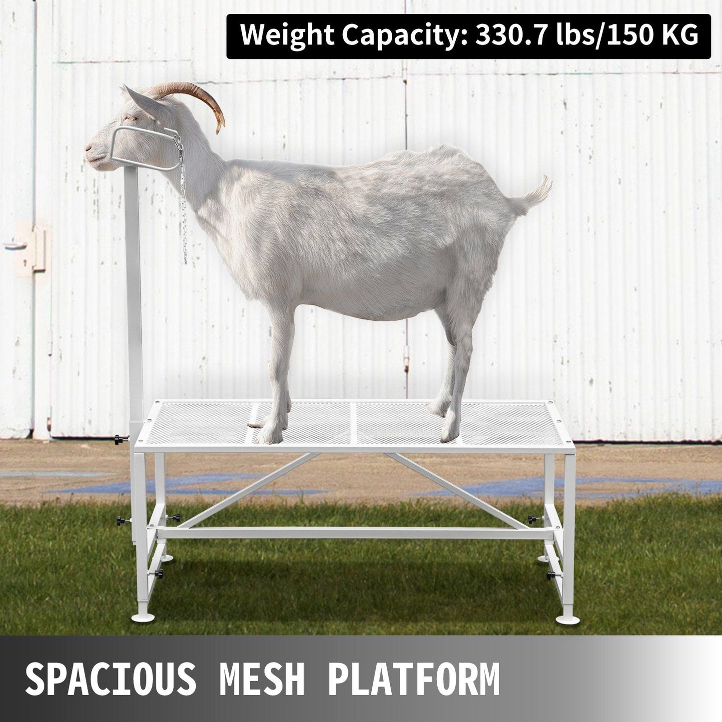 Livestock Stand 51x23 inches, Trimming Stand with Straight Head Piece, Goat Trimming Stand Metal Frame Sheep V952-YYZJJSCDLZBS00001V0