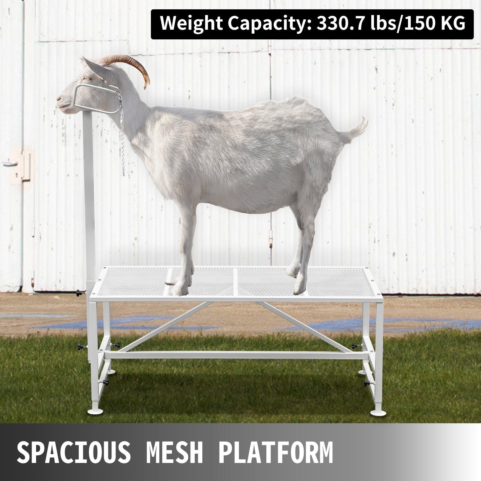 Livestock Stand 51x23 inches, Trimming Stand with Straight Head Piece, Goat Trimming Stand Metal Frame Sheep V952-YYZJJSCDLZBS00001V0