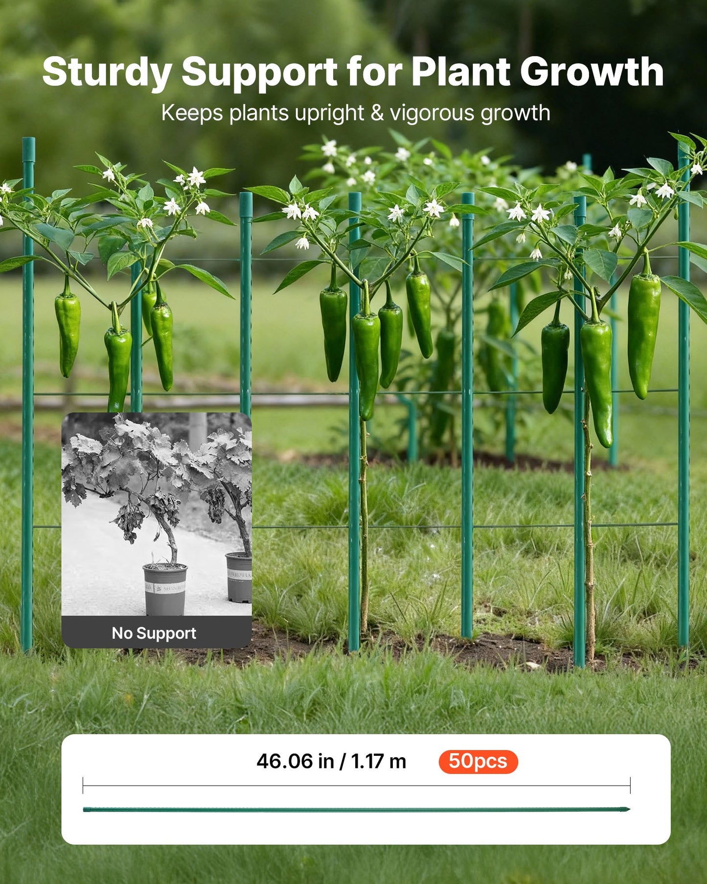 Garden Stakes, 50 Pack, 1170 mm, Plastic Coated Metal Tomato Stakes, Garden Sticks for Plants Support, with V952-ZWZCHYZ12M11ZDALY001V0