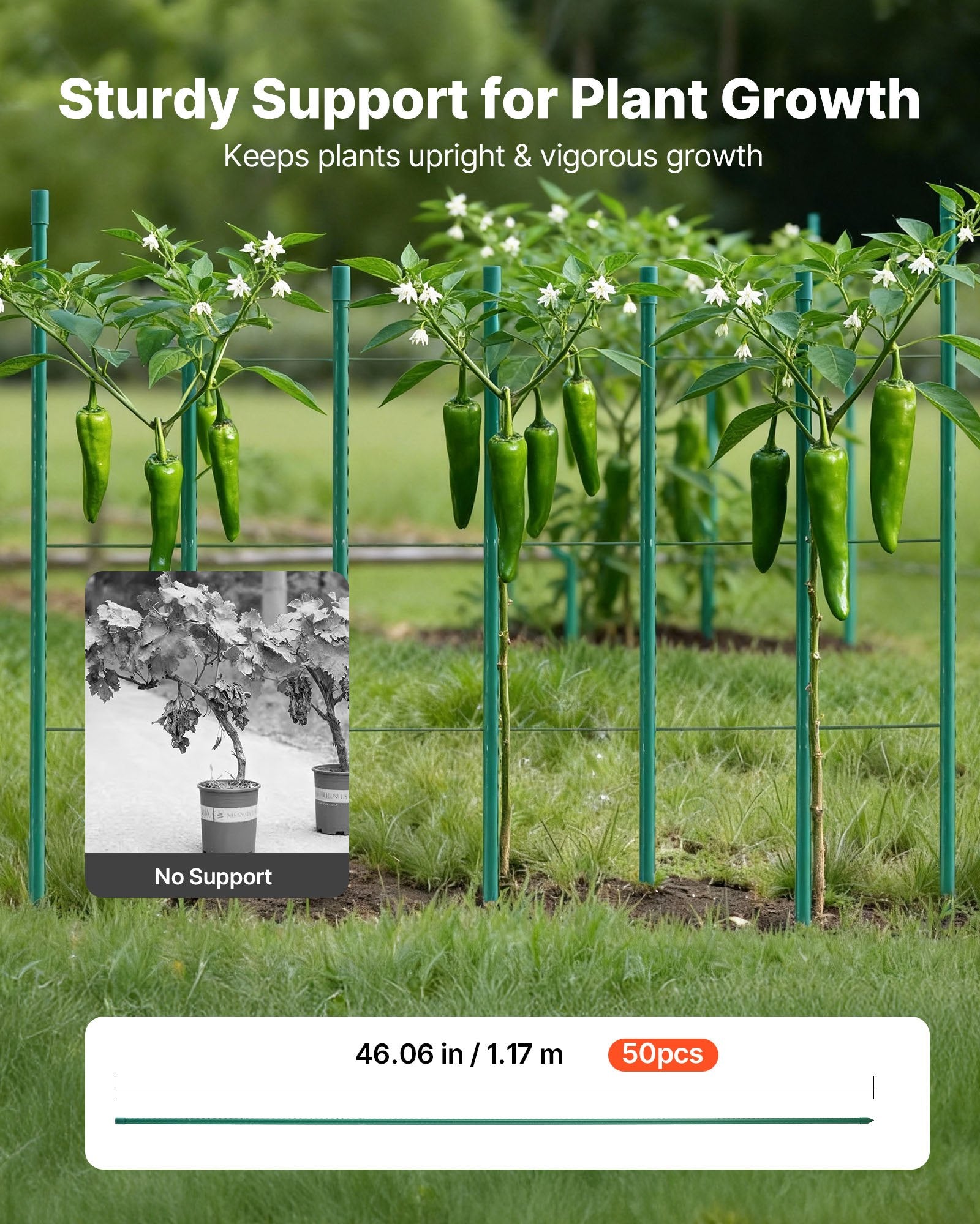 Garden Stakes, 50 Pack, 1170 mm, Plastic Coated Metal Tomato Stakes, Garden Sticks for Plants Support, with V952-ZWZCHYZ12M11ZDALY001V0