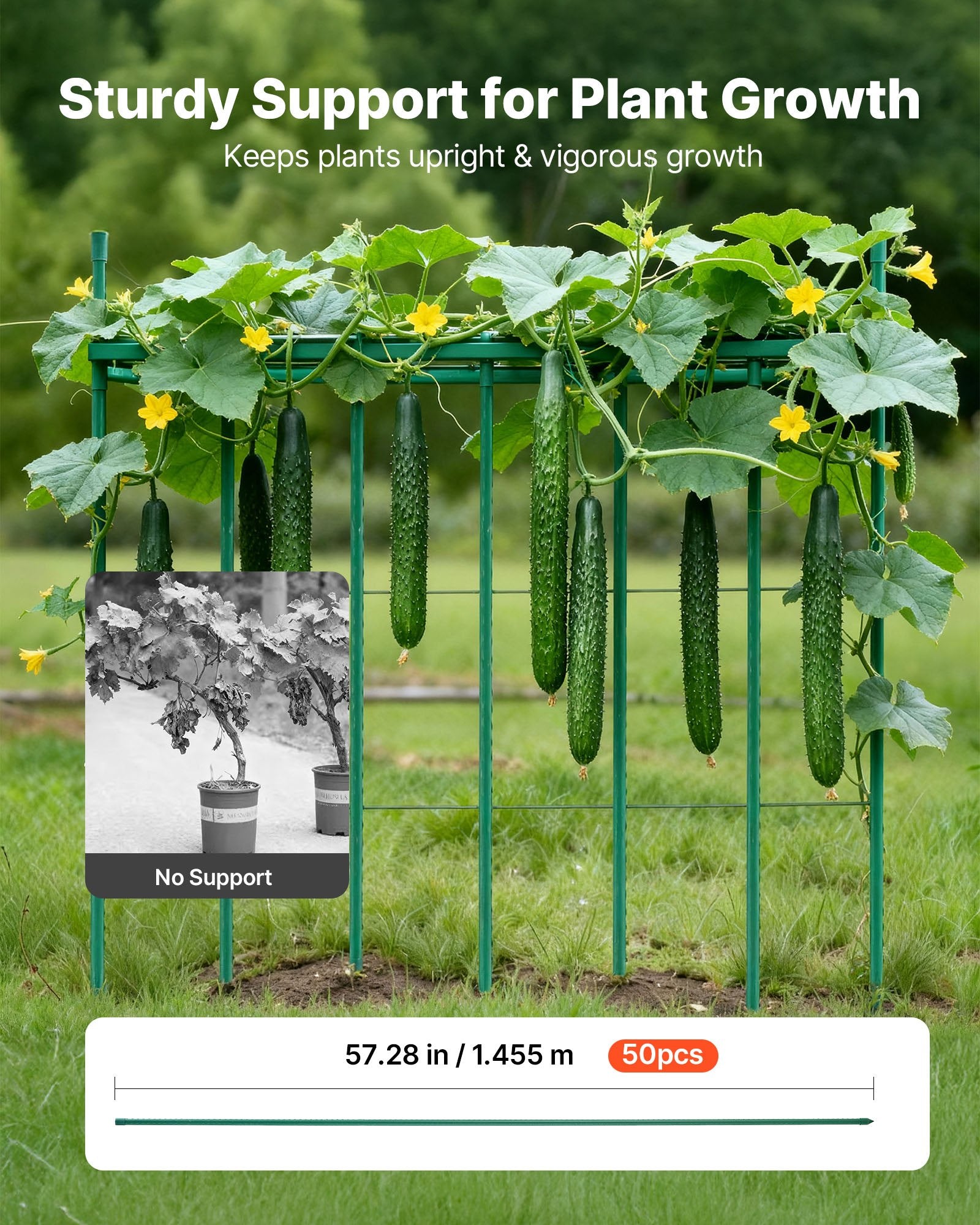 Garden Stakes, 50 Pack, 1455 mm, Plastic Coated Metal Tomato Stakes, Garden Sticks for Plants Support, with V952-ZWZCHYZ15M11VIKZD001V0