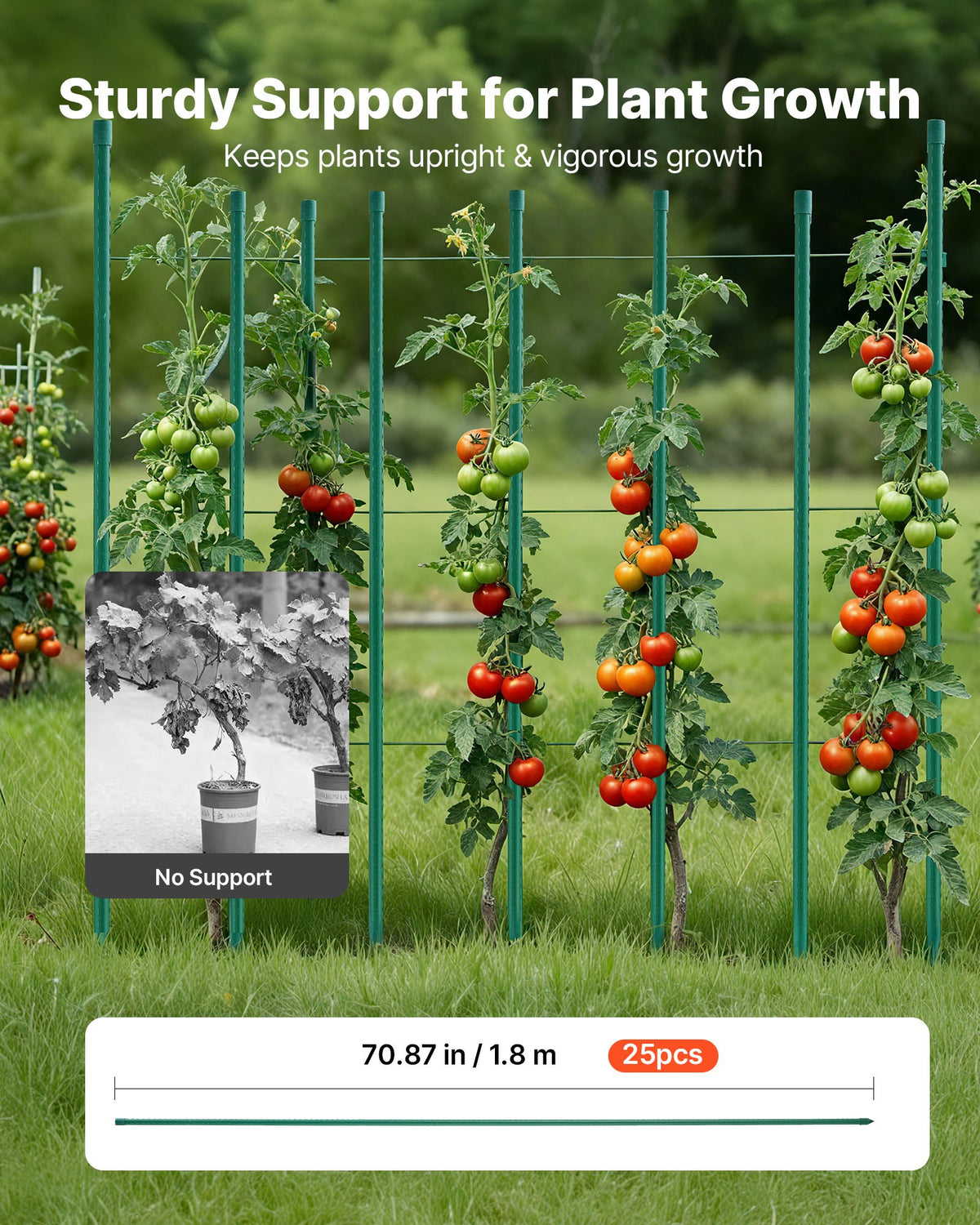 Garden Stakes, 25 Pack, 1800 mm, Plastic Coated Metal Tomato Stakes, Garden Sticks for Plants Support, with V952-ZWZCHYZ18M118QM4M001V0