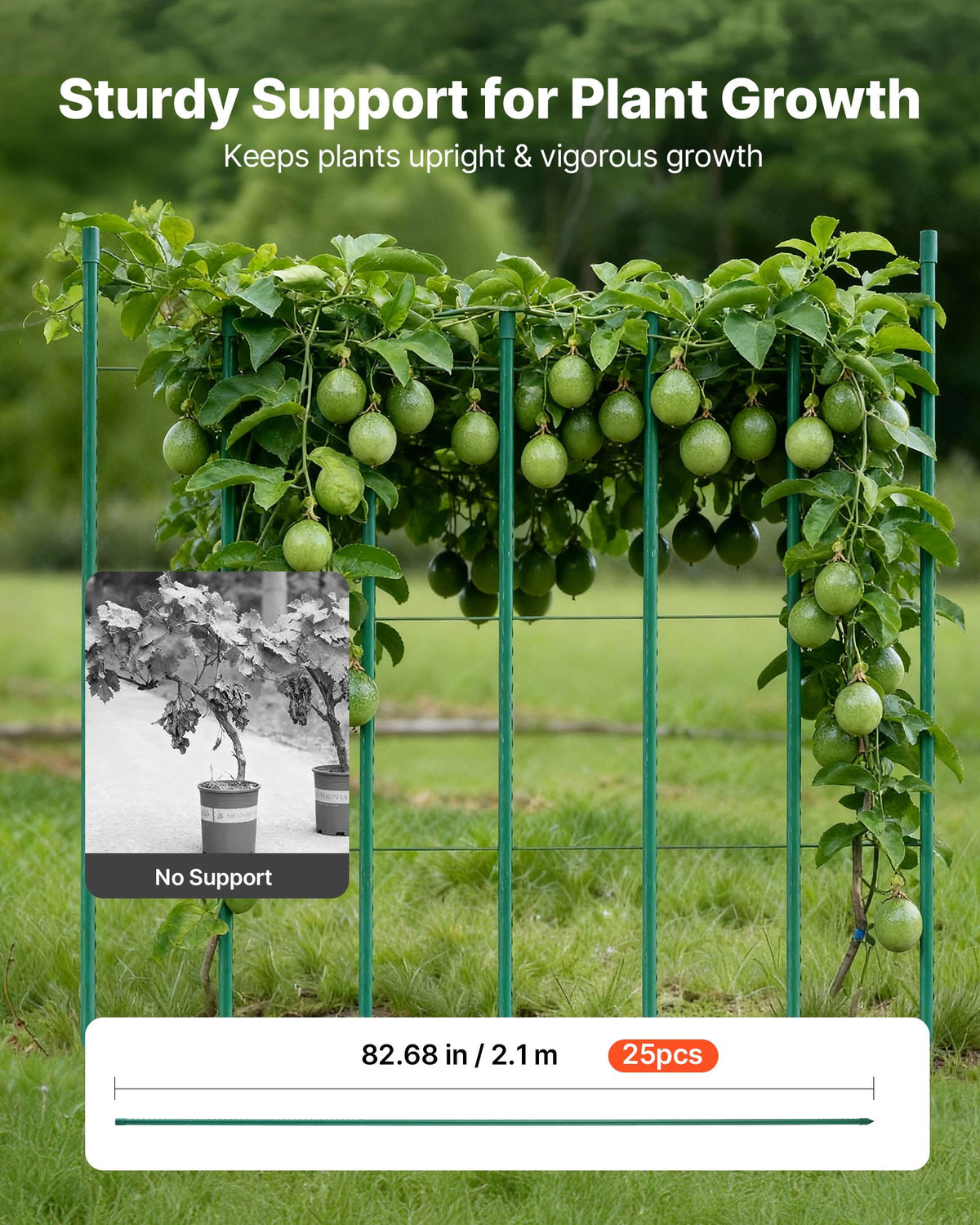 Garden Stakes, 25 Pack, 2100 mm, Plastic Coated Metal Tomato Stakes, Garden Sticks for Plants Support, with V952-ZWZCHYZ21M11RIJBP001V0