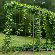 Garden Stakes, 25 Pack, 2100 mm, Plastic Coated Metal Tomato Stakes, Garden Sticks for Plants Support, with V952-ZWZCHYZ21M11RIJBP001V0