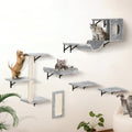 Wall Mounted Cat Shelves, Cat Wall Shelves and Perches with Jumping Boards, Hammock, Sofa, Cat Tree & Cat V952-ZYSBGSMPJ6JTKY3NYV0