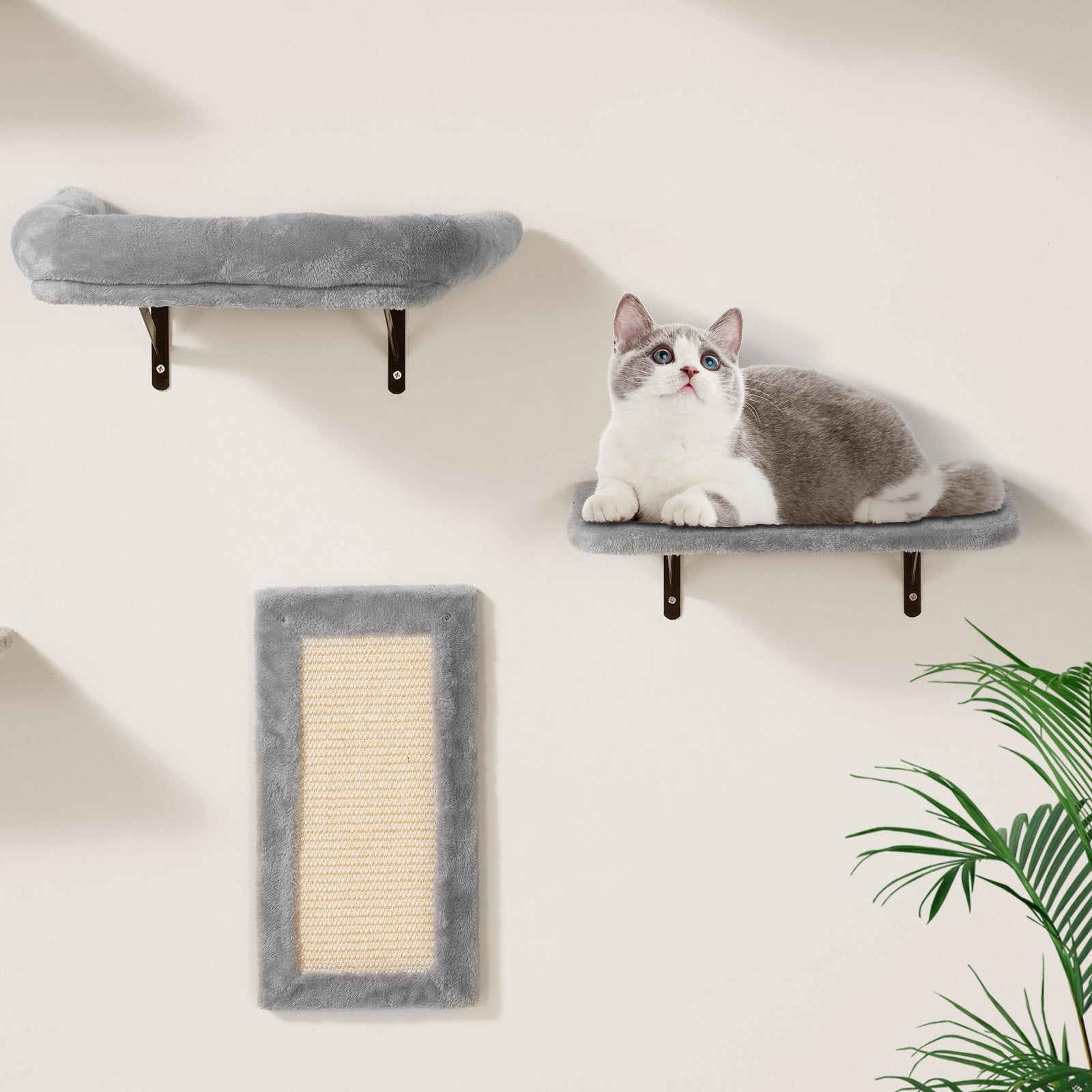 Wall Mounted Cat Shelves, Cat Wall Shelves and Perches with Jumping Boards, Hammock, Sofa, Cat Tree & Cat V952-ZYSBGSMPJ6JTKY3NYV0