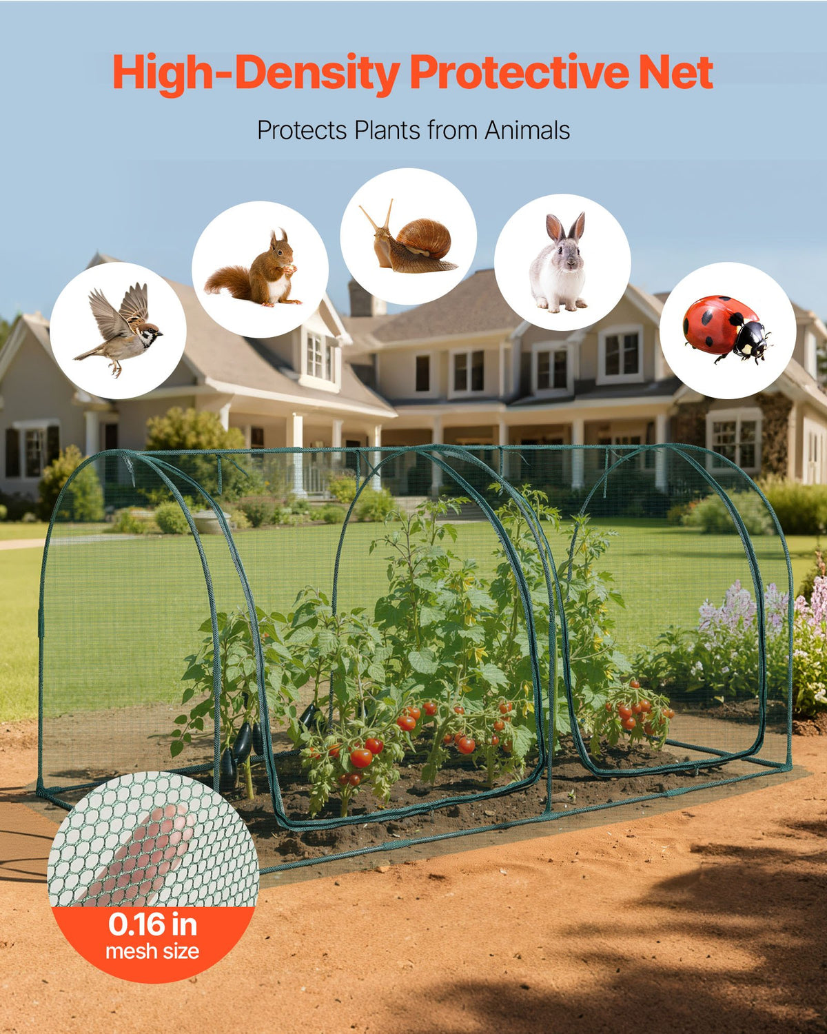 Crop Cage, 2.48 x 1.2 x 1.2 m Plant Protection Tent with Zippered Door, Wind-Resistant Tall Crop Cage, Easy V952-ZZBHZ1PCS984ZQZ2F001V0