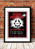 Radio Birdman / Iggy Pop 'Australian Tour' Poster 1984- Framed A4 V967-A30451-A4