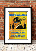 Baby Animals '25 Years' Sydney / Melbourne, Australia 2016 Tour Poster - Framed A3 V967-SS0433-A3