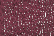 Outdoor undercover cotton Mayan Legacy hammock with hand crocheted tassels King Size Maroon V97-TDKMAROON