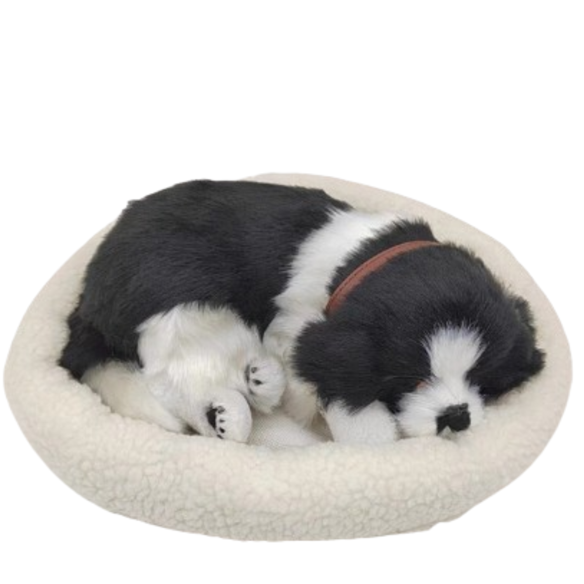 Sleepy Tails - Border Collie - Breathing V982-STBCB