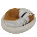 Sleepy Tails - Ginger Cat - Breathing V982-STGCBR