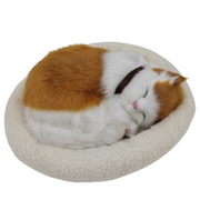 Sleepy Tails - Ginger Cat - Breathing V982-STGCBR