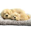 Sleepy Tails - Mother and Baby - Golden Retriever V982-STGRMB