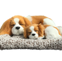 Sleepy Tails - Mother and Baby - King Charles Spaniel V982-STKCSMB
