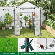 Greenhouse Walk-In Tunnel 3 Tier Planting Shelves 143x143x195cm Strong Stability with PE Cover Roll-up Zipper V985-GREENHOUSE2