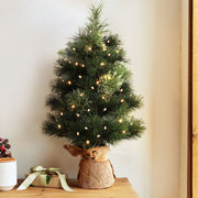 Jingle Jollys Tabletop Christmas Tree 60CM 8 Light Modes Timer Function XM-TR-MINI-2FT-GR