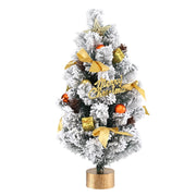 Jingle Jollys Tabletop Christmas Tree 60CM Snowy Xmas Tree Tree Topper Ornaments XM-TR-TABLETOP-2FT-GS-LED