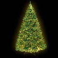 Jingle Jollys Christmas Tree 2.1m Xmas Tree Decorations 1134 LEDs 8 Light Mode XM-TR-WELL-7F-LED-N