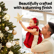 Jingle Jollys 125pcs Christmas Tree Decorations Set Baubles Ornaments Party XMAS-MIX-125PCS-ORNAMENTS