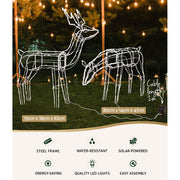 2 PCS Christmas Lights Reindeers 200 LED Decorations Jingle Jollys XMAS-MOT-2DEERS-MOV-WH