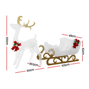 215 LED Christmas Lights Reindeer Sleigh Decorations Jingle Jollys XMAS-MOT-DEER-SLED-WM