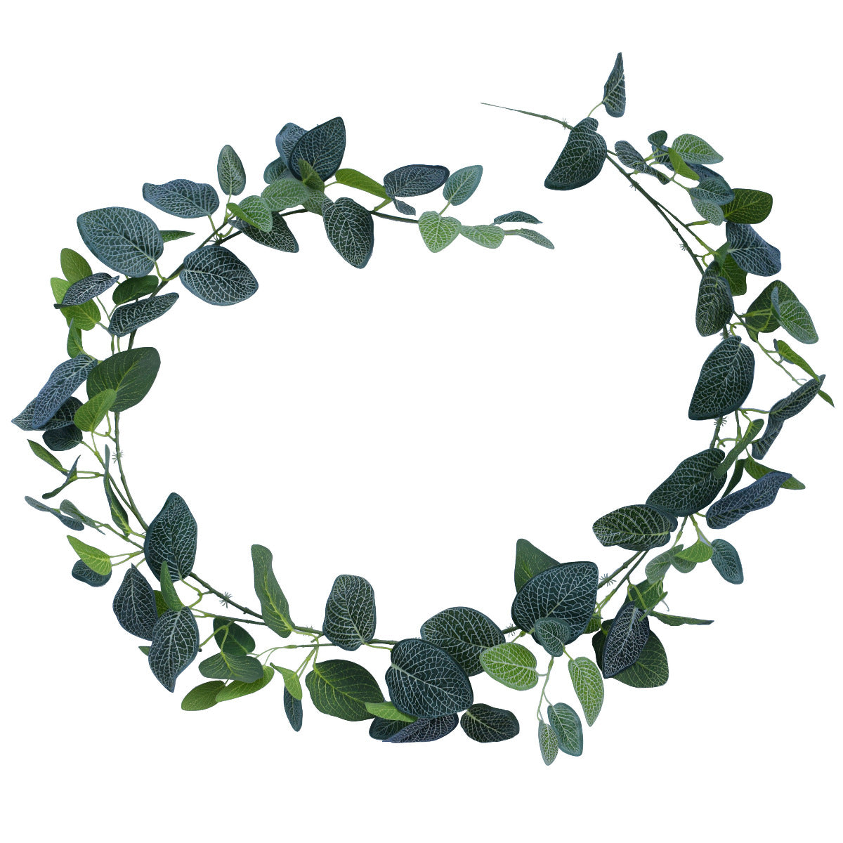 Artificial Fittonia Garland 190cm V77-1016146