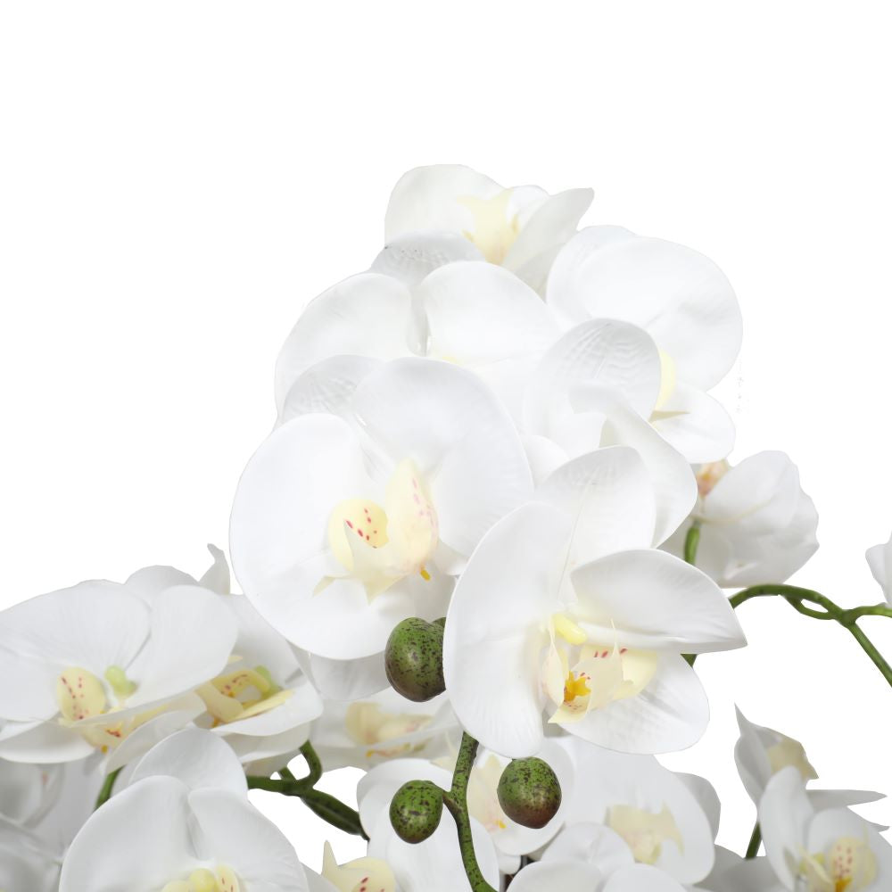 Large Multi-Stem White Potted Faux Orchid 65cm V77-1018513